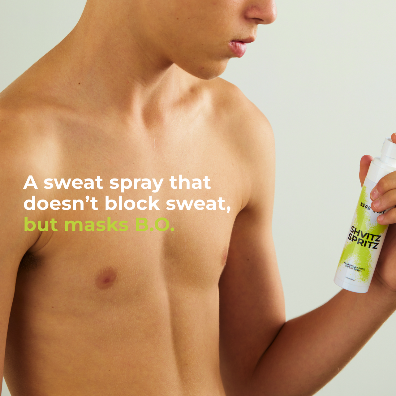 Shvitz Spritz